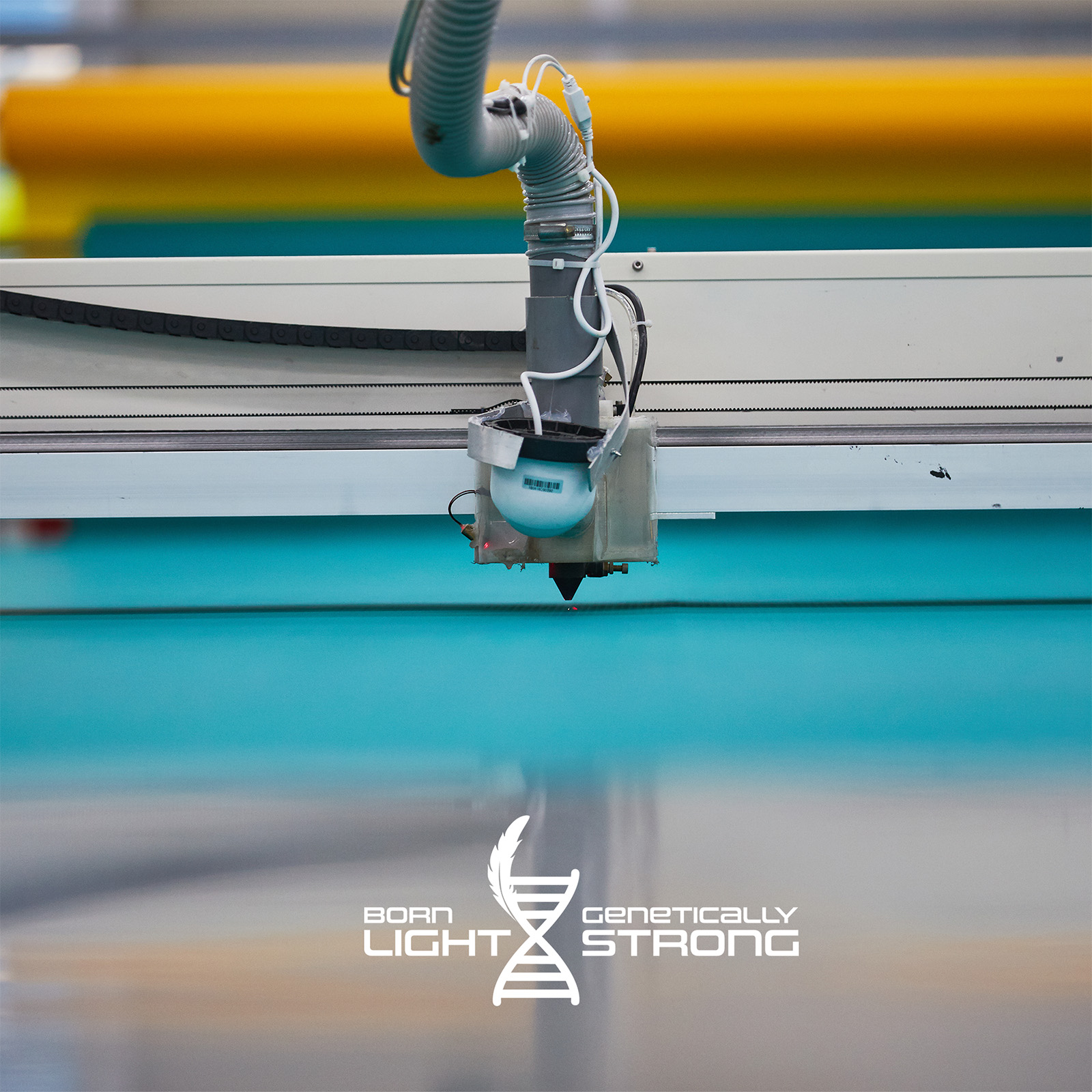 BORN LIGHT, GENETICALLY STRONG  
Guided by the shaping precision made possible by our custom-built