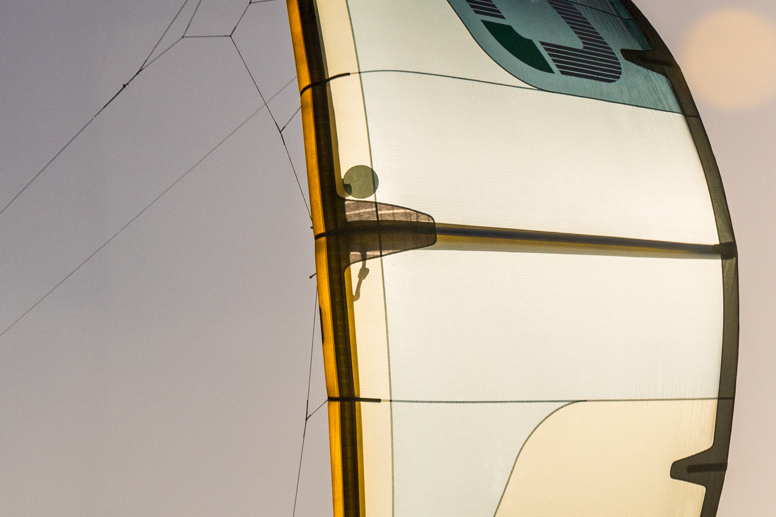 Reinforced Leading Edge and Struts