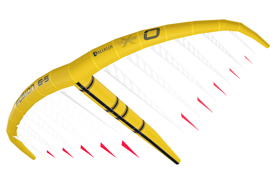 Supporting Internal Miniribs