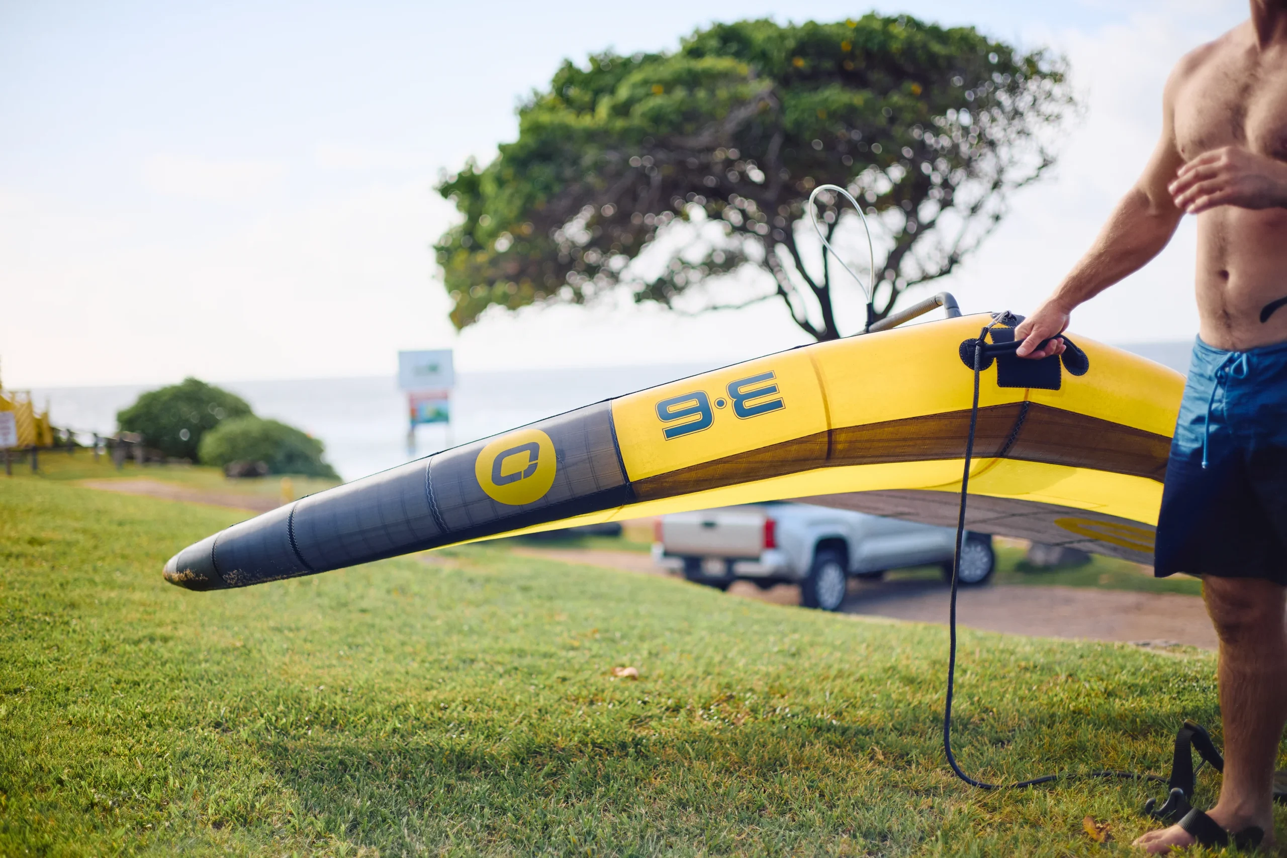 De-Power/Surf Handle